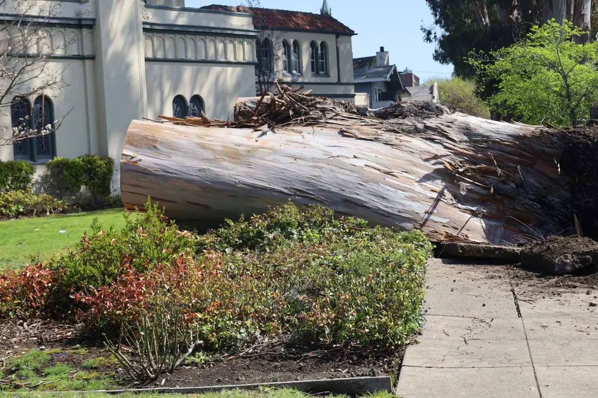 Emergency Services work in progress in Novato and Marin County
