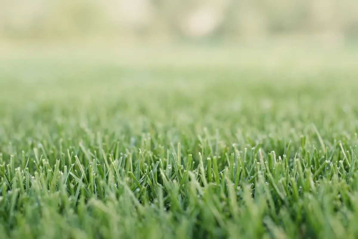 Aeration work in progress in Novato and Marin County