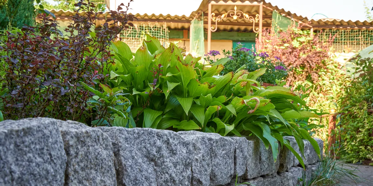 Engineered retaining wall built into a Marin County hillside
