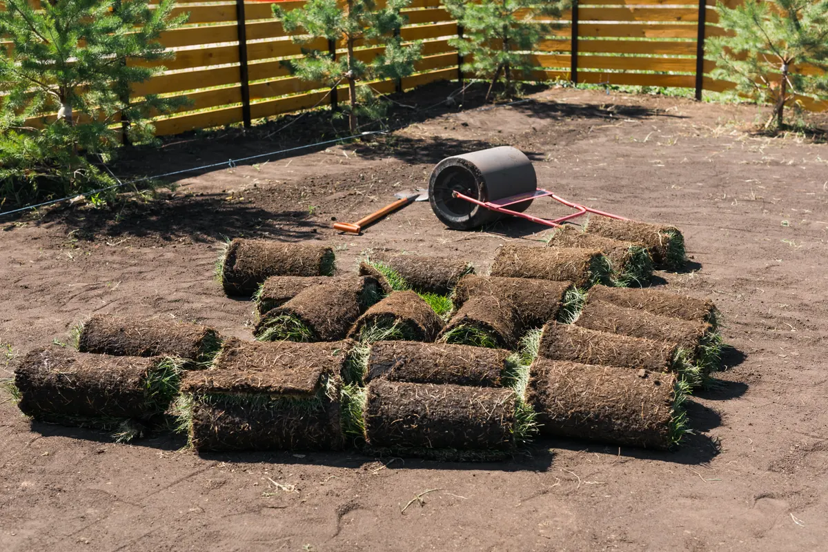 Sod Installation work in progress in Novato and Marin County
