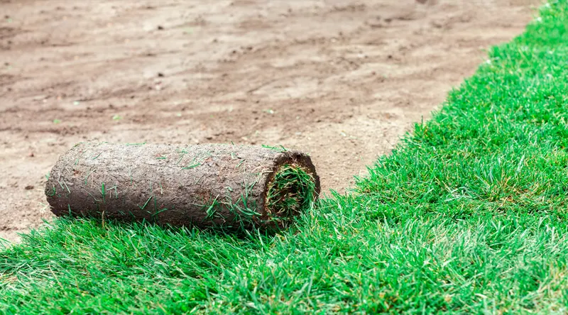 Sod Installation in Novato and Marin County