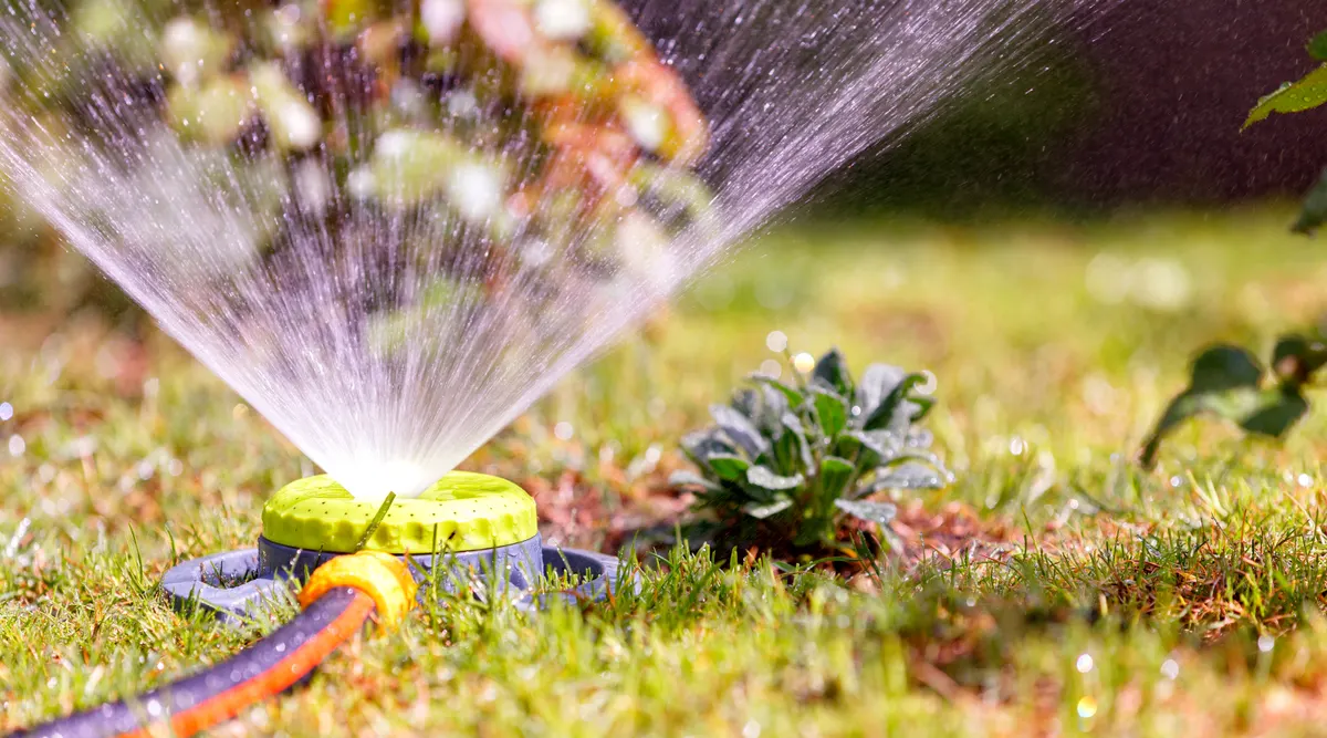 Sprinkler Systems & Irrigation project in Novato, Marin County
